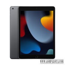 Apple iPad 10.2 9.Gen 256GB WiFi - Grey