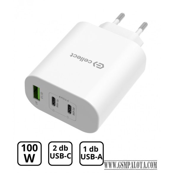 Hálózati gyorstöltő adapter 100W, Fehér