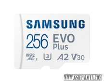Samsung EVO PLUS (Blue Wave) 160MB/sec 256GB