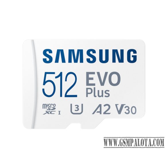 Samsung EVO PLUS (Blue Wave) 160MB/sec 512GB