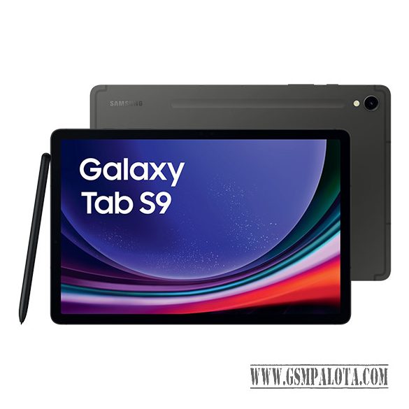 Samsung Galaxy Tab S9 X716B 5G 11.0 12GB RAM 256GB - Grafit